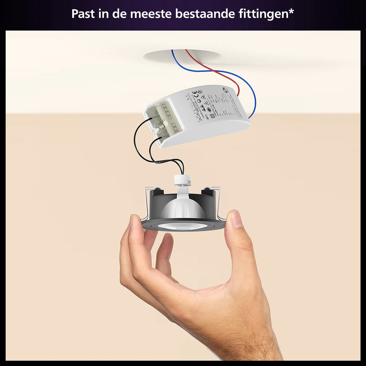 Philips Hue White and Color Ambiance MR16 Spot (paquet de 1)