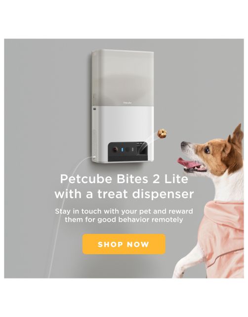 Petcube Bites 2 Lite – HD Huisdiercamera & Treat Dispenser