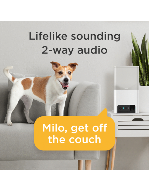 Petcube Bites 2 Lite – HD Huisdiercamera & Treat Dispenser