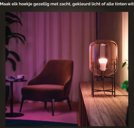 Philips hue E 27 Duopack - wit en gekleurd licht - 6.5W - Bluetooth - 2 Stuks