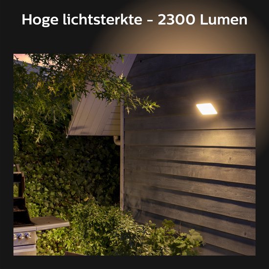 Philips Hue Discover verstraler - wit en gekleurd licht - zwart