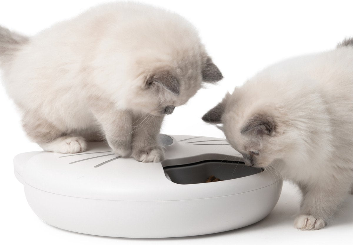 Catit Voerautomaat Kat - Pixi Smart 6-meal Feeder - 6 x 170ml - 37 x 34.5 cm - Wit