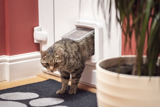 SureFlap Microchip Pet Door
