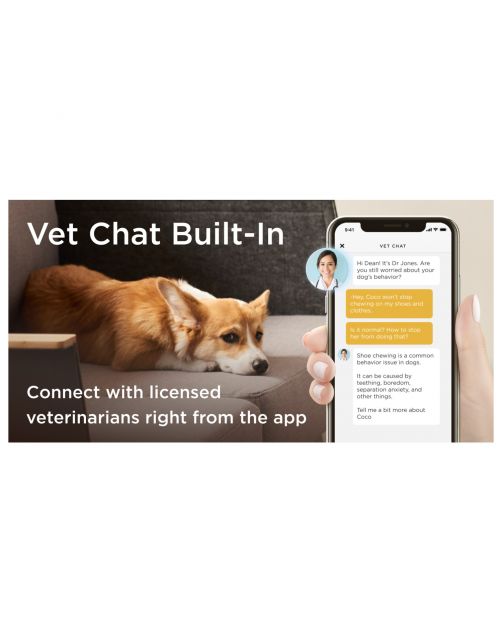 Petcube Bites 2 Lite – HD Huisdiercamera & Treat Dispenser